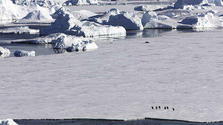 Hallan bacterias en la Antártida que pueden dar pistas sobre la vida en otros planetas