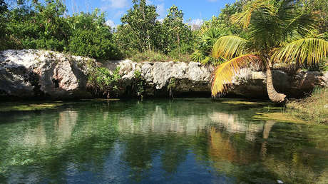 Hallazgo único: Las 'campanas del inframundo' que crecen bajo un cenote mexicano