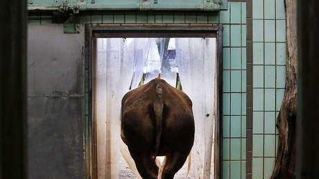 ¿Ya ha visto las mejores fotos de la semana? Aquí puede apreciar las dos caras de la actualidad