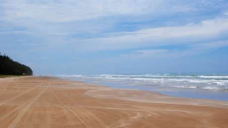 Hallan una misteriosa y "horrible" criatura dentada en una playa de Australia