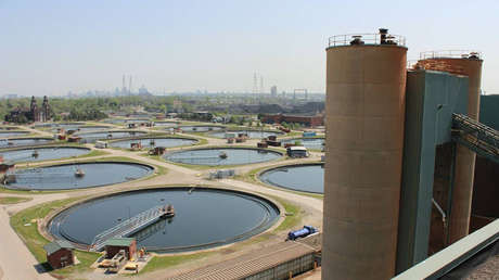 Encuentran órganos en una planta de aguas de EE.UU.