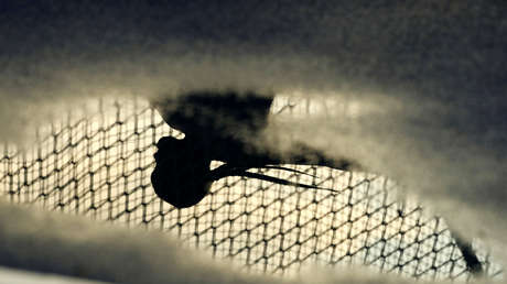 Argentina: Captan a una niña mientras bebe agua de un charco de la calle (FOTO)