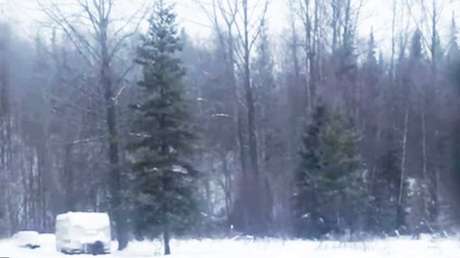 El escalofriante sonido que no le dejará pegar ojo esta noche