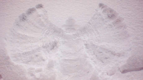 De 29 seguidores a 14.000: Una muestra de amor se hace viral en Instagram