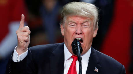 VIDEO, FOTO: Levantan en China una gigantesca estatua de perro que se asemeja a Trump