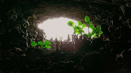 Por dos millones de dólares, la vida bajo tierra podría estar más cerca de lo que se piensa