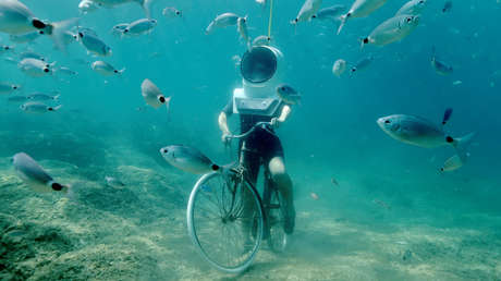 Las fotos de 2017 que no nos cansaremos de ver en 2018