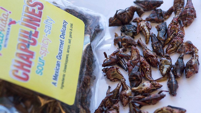 Hamburguesas de león y jabalí: ¿Cuál es el mercado más exótico de Ciudad de México?