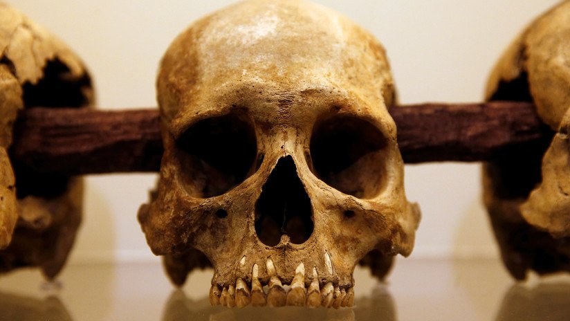 Descubren al culpable de la peste que causó el colapso de la civilización azteca