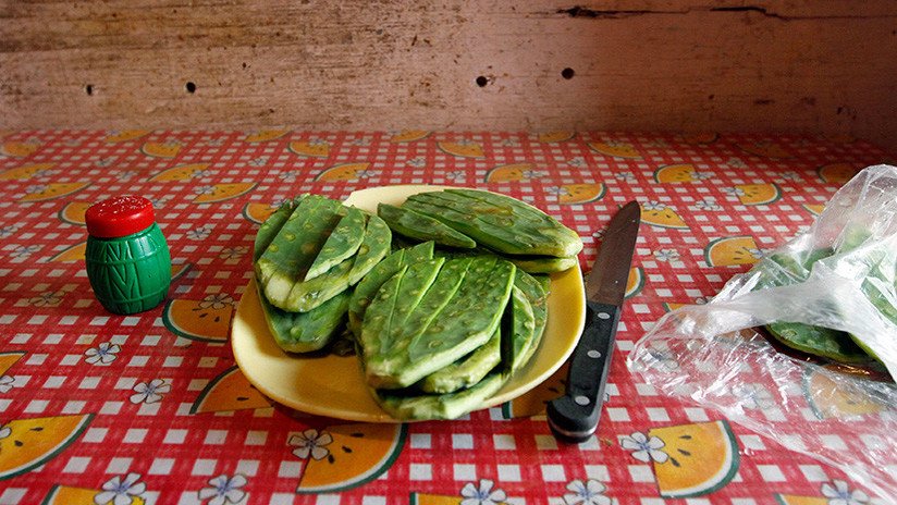 Estudio: El consumo de nopal reduce niveles de colesterol y puede ser efectivo contra la diabetes