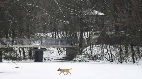 6 minutos de sol: El primer mes invernal fue el más oscuro en la historia de Moscú