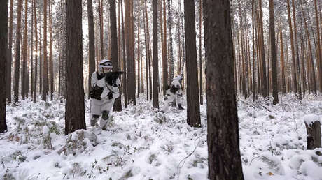 VIDEO: Maniobras intensivas de la Fuerza de Misiles Estratégicos rusa con sistemas Tópol y Yars