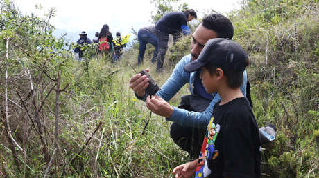 Inyección forestal: Plantan 5.000 árboles en uno de los dos volcanes habitados del planeta