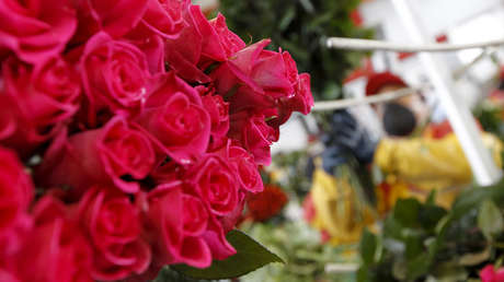 ¡Que viva el amor! 15.000 toneladas de flores saldrán desde Quito para San Valentín