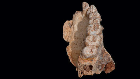 Un fósil que lo cambia todo: Hallan en Israel el resto de Homo Sapiens más antiguo fuera de África