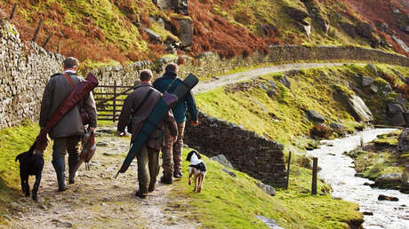 ¿Karma en acción?: Un cazador muere al intentar matar a un león cautivo en Sudáfrica
