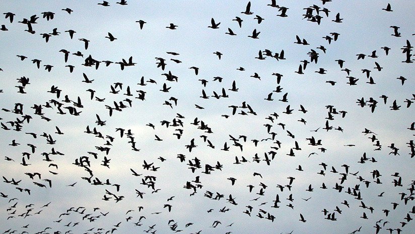 Espeluznante imagen: El cielo de Roma se transforma en una escena de una película de terror (FOTO)
