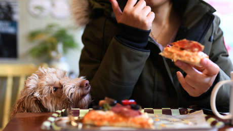 Confirmado por científicos y dietistas: Es más sano desayunar pizza que un plato de cereales