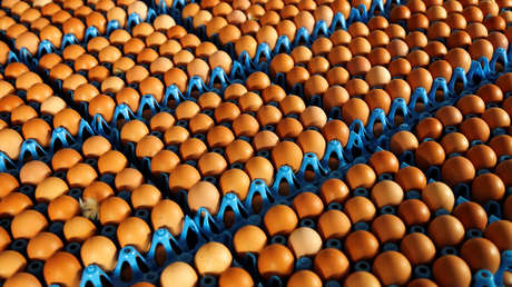 La selección de Noruega recibe por error 15.000 huevos en los JJ.OO. de Pyeongchang