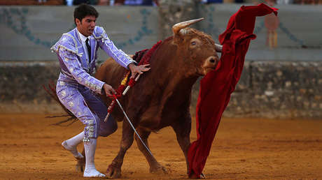 La ONU recomienda a España que no permita que los menores vean corridas de toros