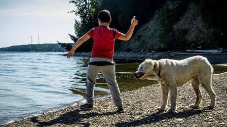 Un pediatra pregunta a sus pacientes terminales qué les hace felices (las respuestas emocionan)