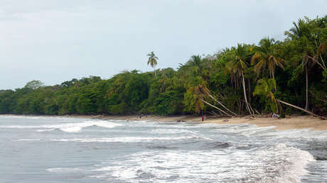 Ni gente blanca, ni hombres: el retiro curativo solo para mujeres negras en Costa Rica