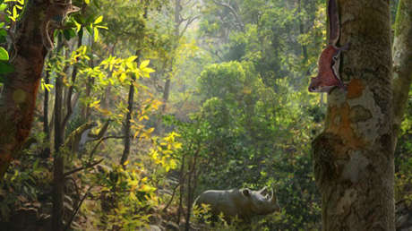 Migración de roedores en España hace 12 millones de años da claves para predecir el cambio climático