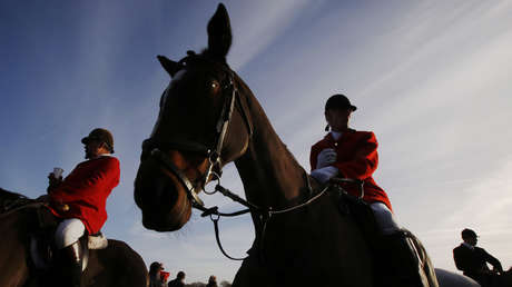 VIDEO BRUTAL: Activistas anticacería son atacados por un violento escuadrón de Land Rovers