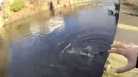 VIDEO: Cámara corporal graba cómo un policía se lanza a un río helado para salvar a un hombre