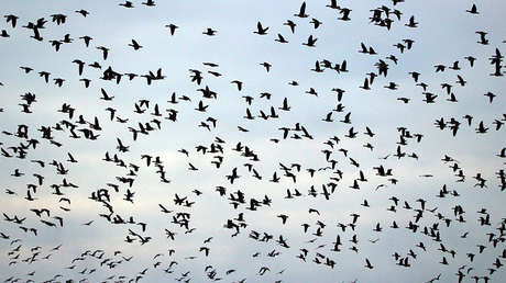 Espeluznante imagen: El cielo de Roma se transforma en una escena de una película de terror (FOTO)