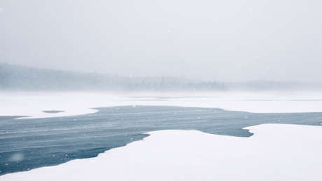 VIDEO: Una mujer se tira a un lago helado para salvar a un husky