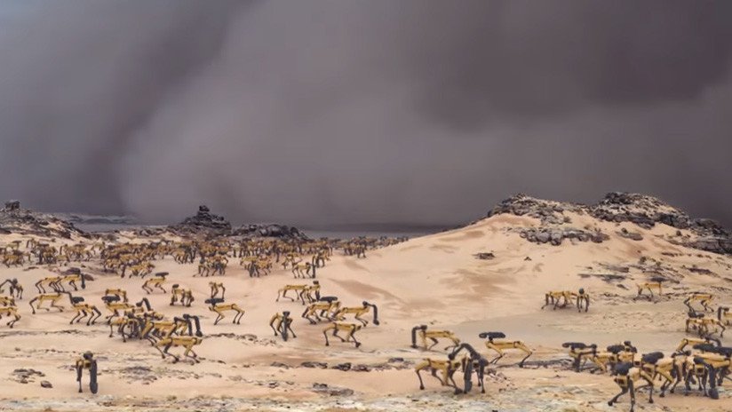 VIDEO INQUIETANTE: Cómo sería la Tierra si solo quedaran los perros robot
