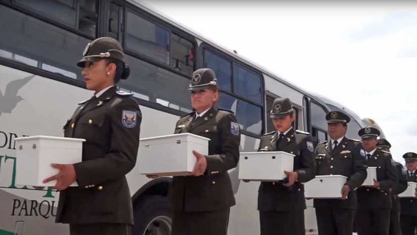 VIDEO: 'Bebés al Cielo', entierro masivo en Ecuador de 36 fetos y recién nacidos abandonados