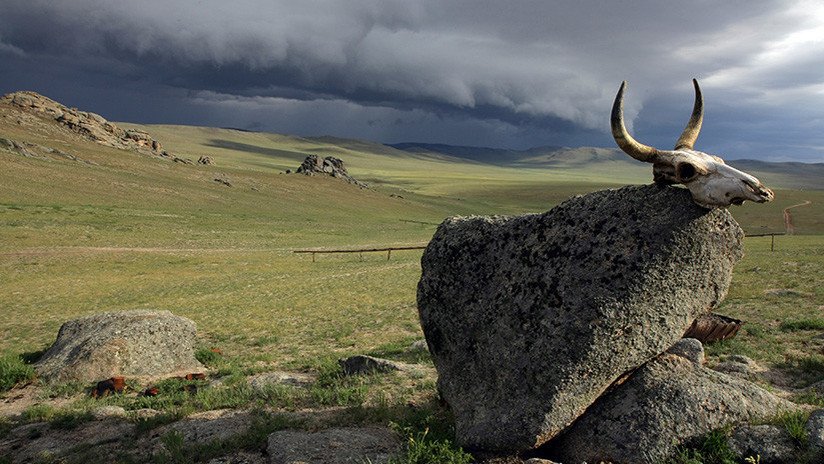 El cambio climático puede 'despertar' el ántrax de los cementerios del Ártico y Siberia 