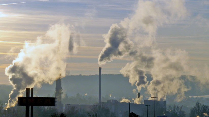 "Se nos acaba el tiempo": El ser humano, artífice de su propia destrucción 