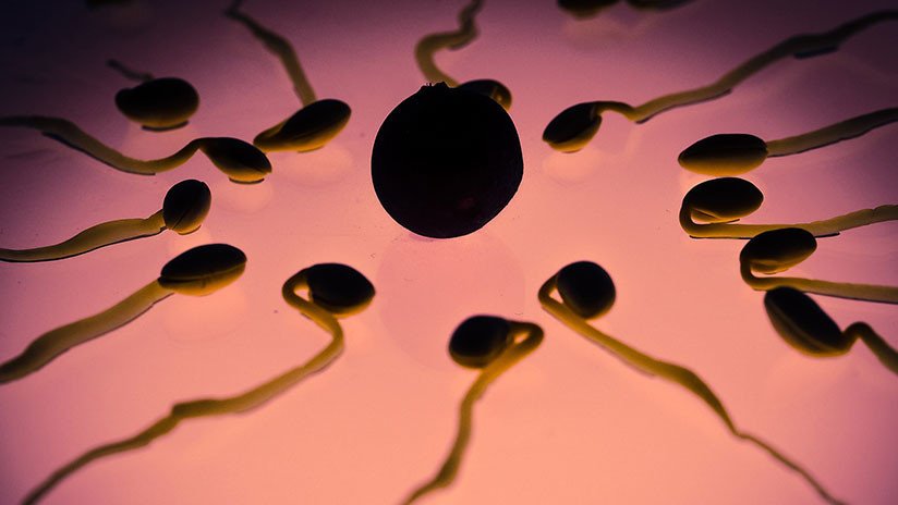 Crean en laboratorio una nueva forma de vida