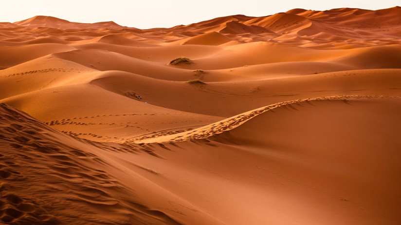 El desierto del Sáhara es un 10 % más grande que hace 100 años