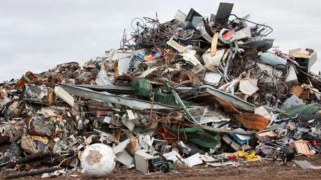Una pareja de EE.UU. obligaba a sus tres hijos a vivir en una caja sucia con 40 gatos (FOTOS)
