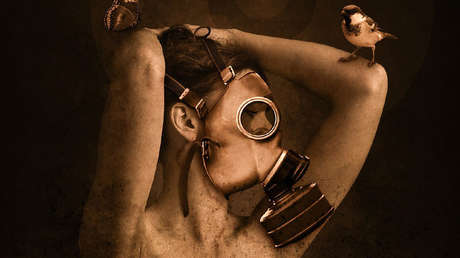 VIDEO: Así se preparan los 'preppers' surcoreanos ante una hipotética guerra nuclear 