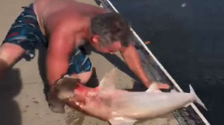 FUERTE VIDEO: Un tiburón devora el brazo de un hombre, ¿pero quién es la víctima?