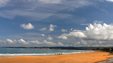 FOTOS: Un enorme pez "monstruo" causa desconcierto en la costa de Australia
