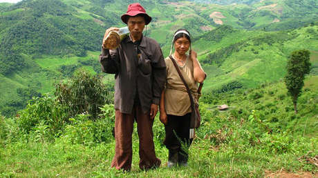 Cómo una pareja de Tailandia llegó a representar a toda la humanidad en Wikipedia