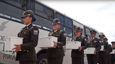 VIDEO: 'Bebés al Cielo', entierro masivo en Ecuador de 36 fetos y recién nacidos abandonados