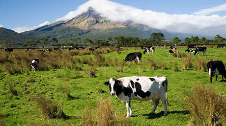 "Una granja al final de un largo camino": Un paquete sin dirección exacta llega a sus destinatarios