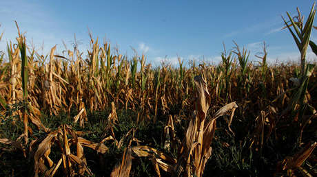 La sequía en Argentina podría 'evaporar' el 0,5% del PIB
