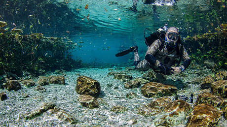 Descubren caverna con fragmentos prehispánicos durante la limpieza de un cenote en México (FOTOS)