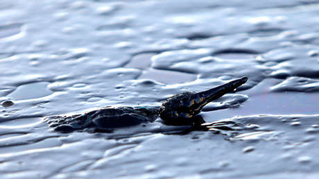 Desastre ambiental en Colombia: Ecopetrol podría enfrentar serias sanciones tras el derrame de crudo