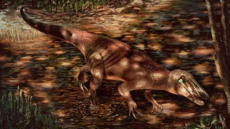 Descubren una nueva especie de gigantesco dinosaurio carnívoro en Argentina