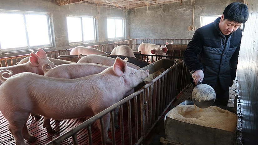 Revelan dónde se originó el gen que resiste a cualquier antibiótico