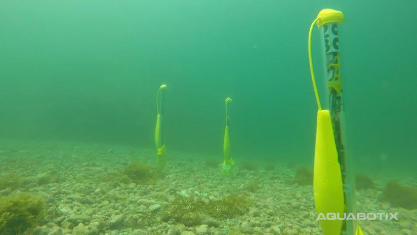 Video: Filman un enjambre de drones submarinos de EE.UU. actuando como un todo